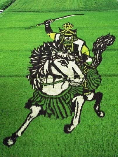 岛国人民真会玩,青森老农农田神还原漫画插图3 膜拜!11区青森老农农田神还原漫画
