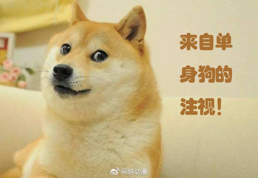 日本动画业界再曝辛酸现状！新恒结衣人妻属性再现！-看客路