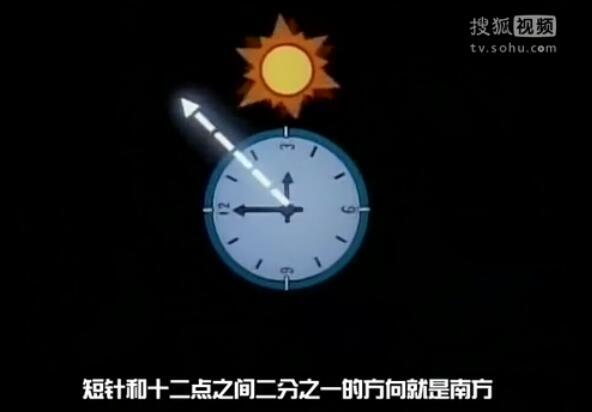 《名侦探柯南》小知识系列02，野外探险篇插图3