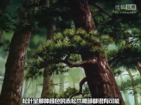 《名侦探柯南》小知识系列02，野外探险篇插图7